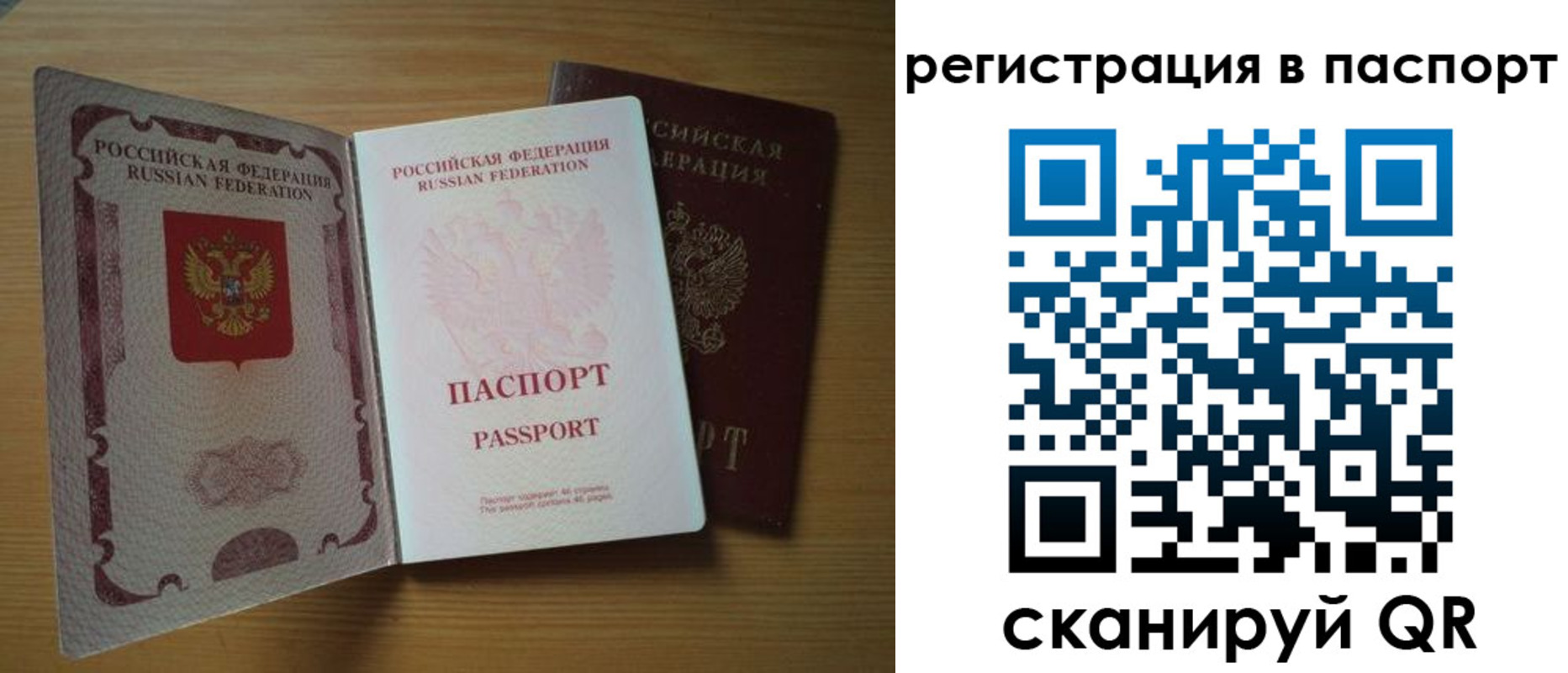 прописка для школы в Шебекино